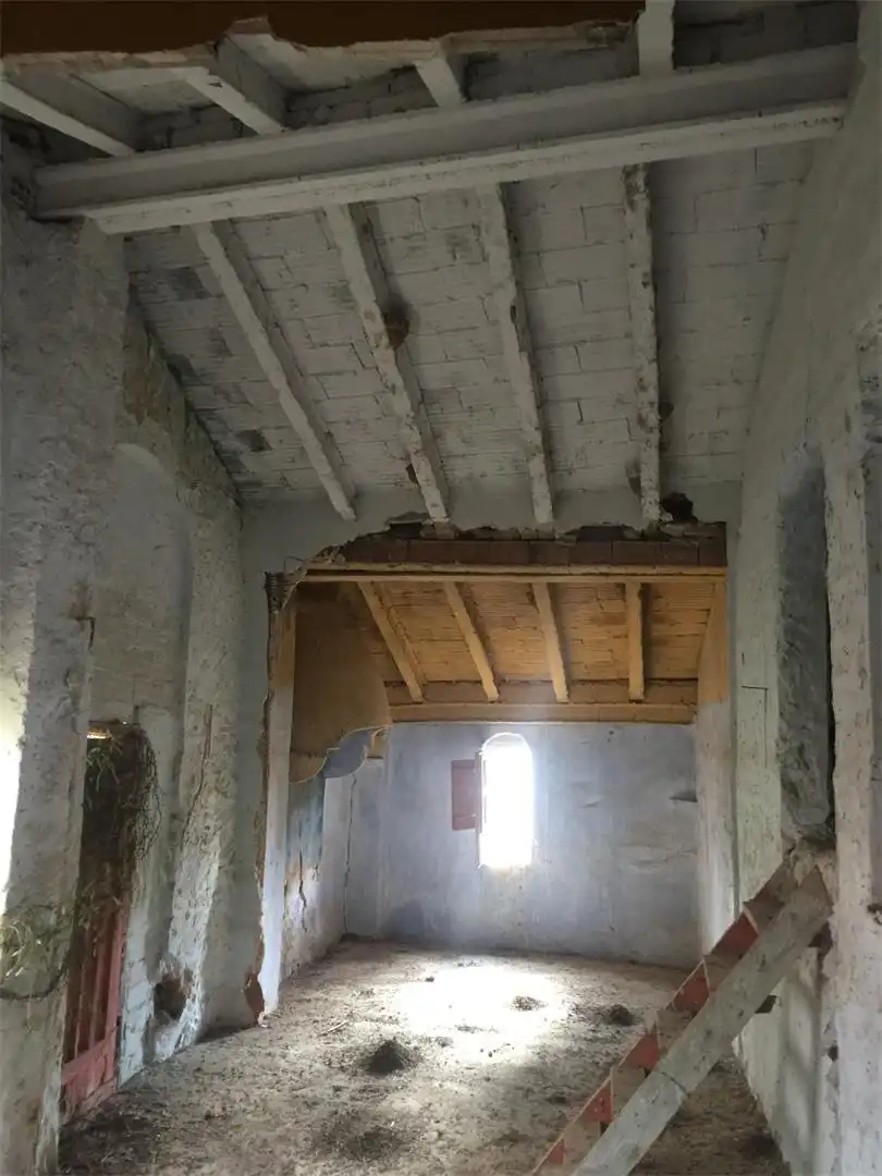 Finca rústica en venta en Carrer La Palla, 27, Riba-roja d'Ebre Finca rústica en venta en Riba-roja d'Ebre con Jardín privado y Terraza