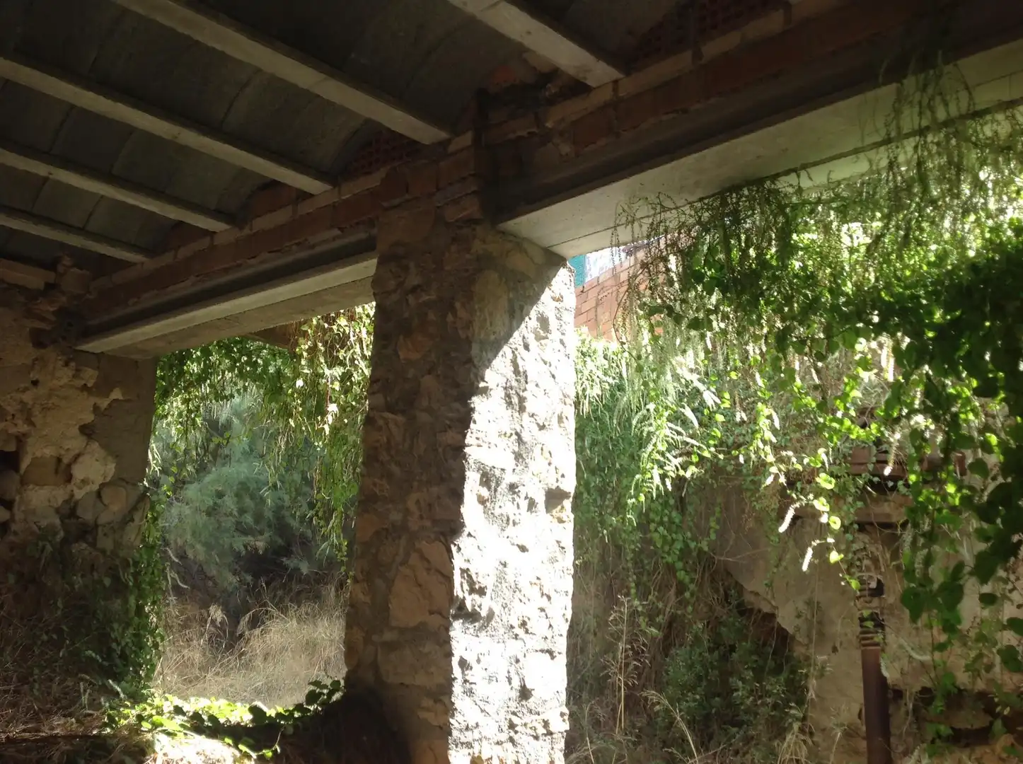 Finca rústica en venta en Carrer La Palla, 27, Riba-roja d'Ebre Finca rústica en venta en Riba-roja d'Ebre con Jardín privado y Terraza