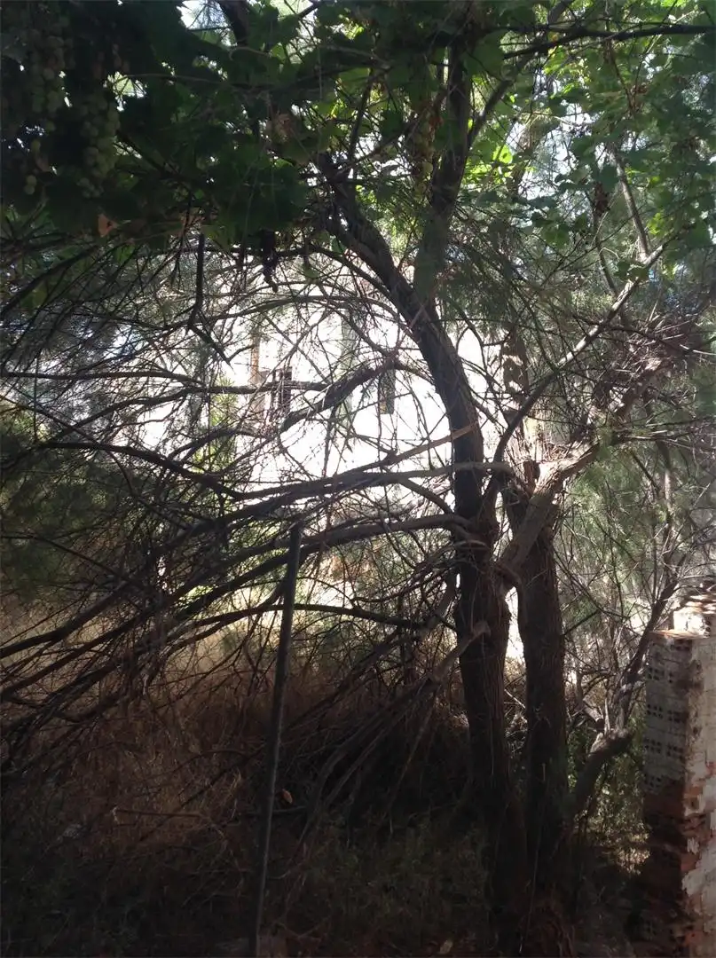 Finca rústica en venta en Carrer La Palla, 27, Riba-roja d'Ebre Jardín de Finca rústica en venta en Riba-roja d'Ebre con Jardín privado y Terraza