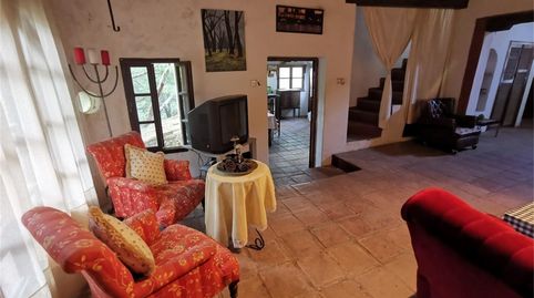 Foto 4 de Finca rústica de alquiler en Casares, Málaga