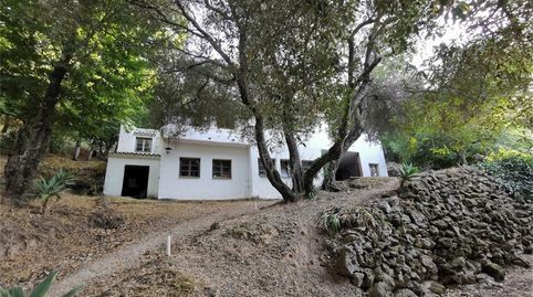 Foto 2 de Finca rústica de alquiler en Casares, Málaga