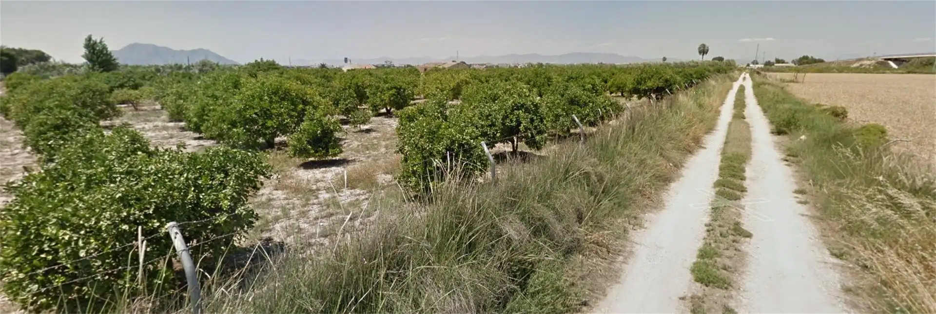 Non-constructible Land for sale in Daya Nueva Non-constructible Land for sale in Daya Nueva
