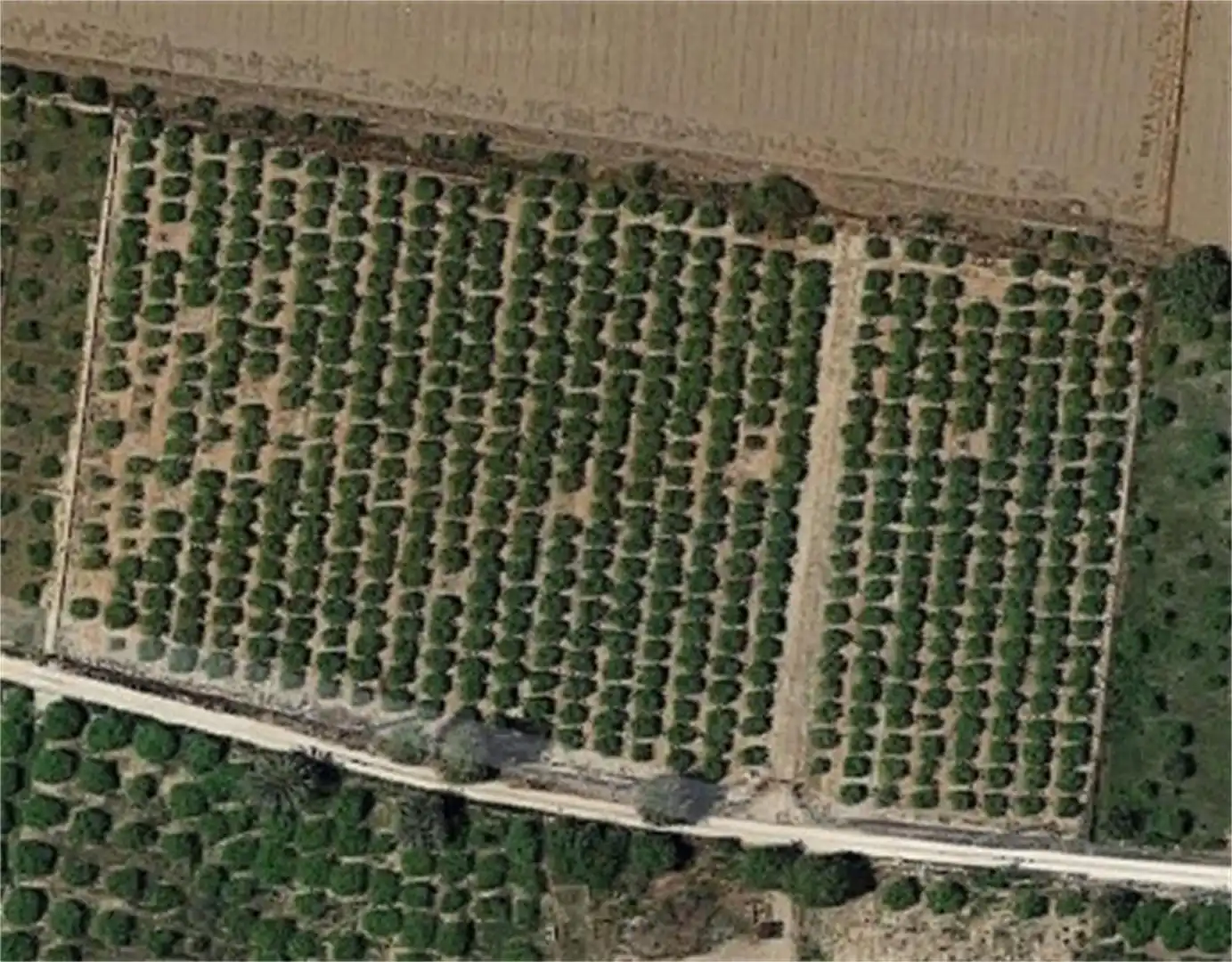 Non-constructible Land for sale in Daya Nueva Non-constructible Land for sale in Daya Nueva
