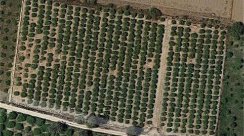 Foto 3 von Nicht bebaubares Gelände zum Verkauf in Daya Nueva, Alicante