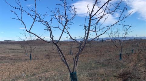 Terreno en venta en Zarzalico, Murcia - imagen 5 Foto 5 de Terreno en venta en Zarzalico, Murcia