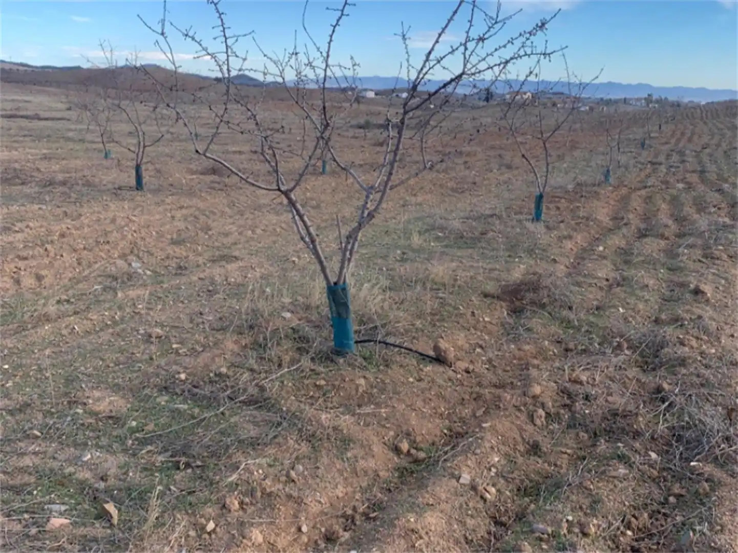 Terreno en venta en Zarzalico Terreno en venta en Lorca
