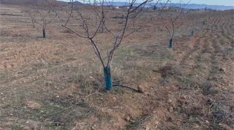 Foto 4 de Terreno en venta en Zarzalico, Lorca