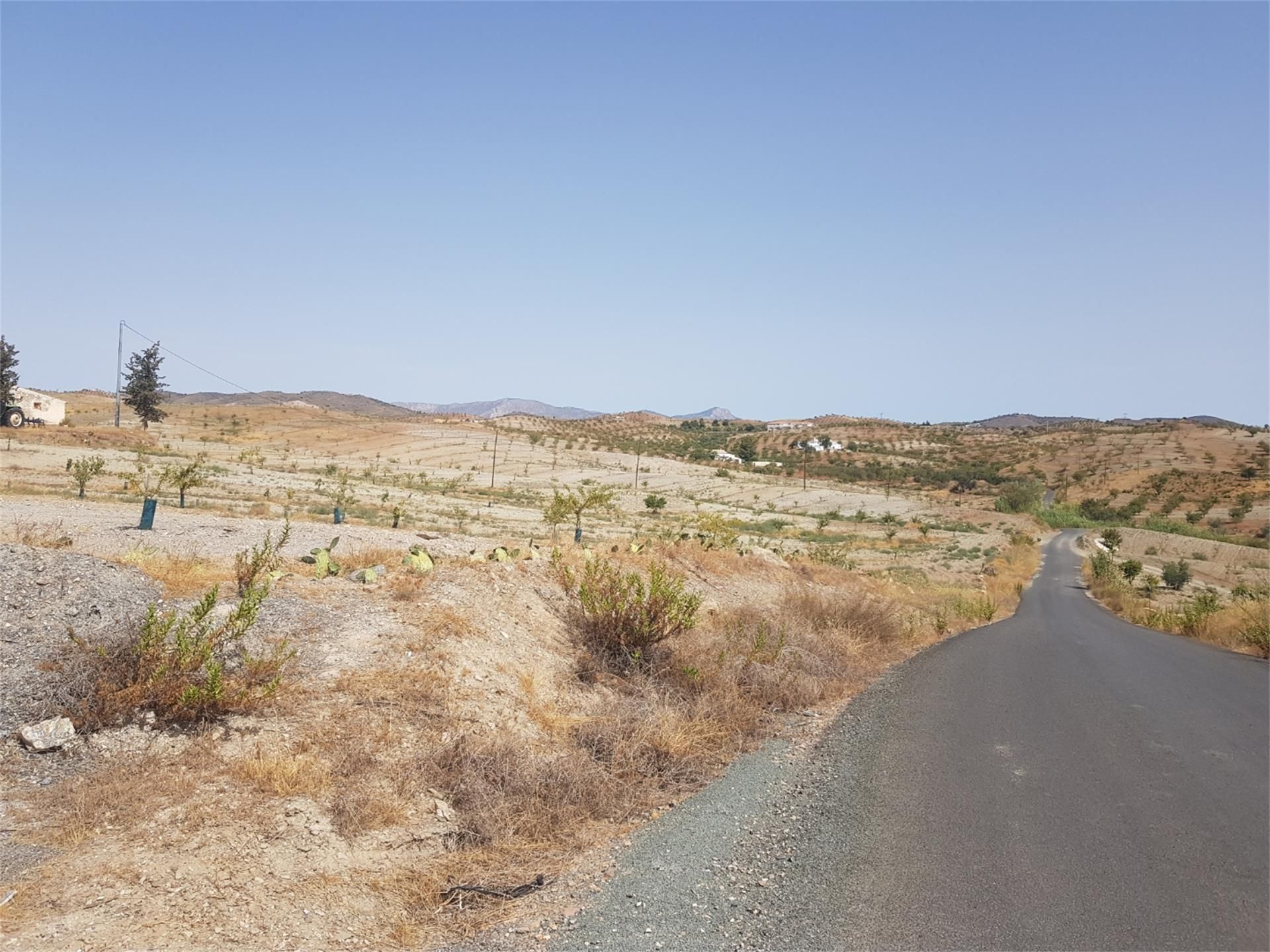 Land for sale in Lorca