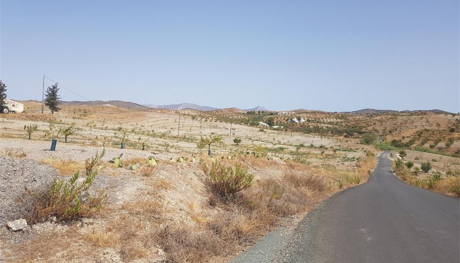 Terreno en venta en Zarzalico, Murcia - imagen 1 Foto 1 de Terreno en venta en Zarzalico, Murcia