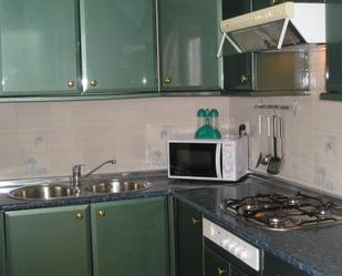 Kitchen of Flat for sale in Alanís  with Air Conditioner