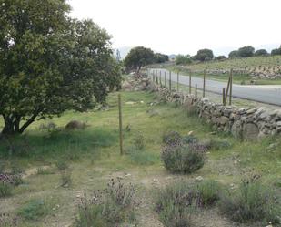 Exterior view of Land for sale in Burgohondo