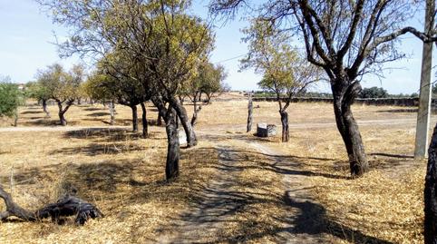 Country house for sale in Avenida de San Blas, 18, Casco Antiguo, Cáceres - image 4 Photo 4 of Country house for sale in Avenida de San Blas, 18, Casco Antiguo, Cáceres