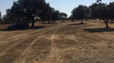 Photo 3 of Flat for sale in Avenida de la Constitución, 81, Talarrubias, Badajoz