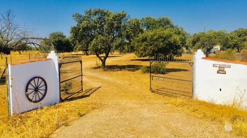 Photo 2 of Flat for sale in Avenida de la Constitución, 81, Talarrubias, Badajoz