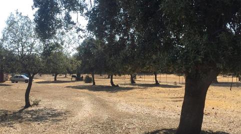 Photo 5 of Flat for sale in Avenida de la Constitución, 81, Talarrubias, Badajoz