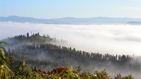 Country house for sale in A-478, Calañas, Huelva - image 4 Photo 4 of Country house for sale in A-478, Calañas, Huelva