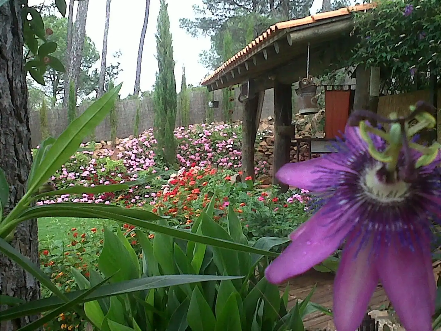 Finca rústica en venta en A-478, Calañas Jardín de Finca rústica en venta en Calañas con Calefacción, Jardín privado y Terraza