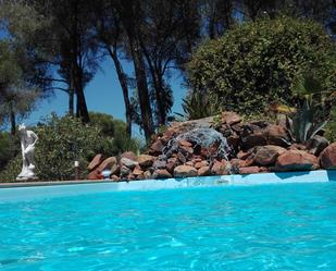 Swimming pool of Country house for sale in Calañas  with Heating, Private garden and Terrace