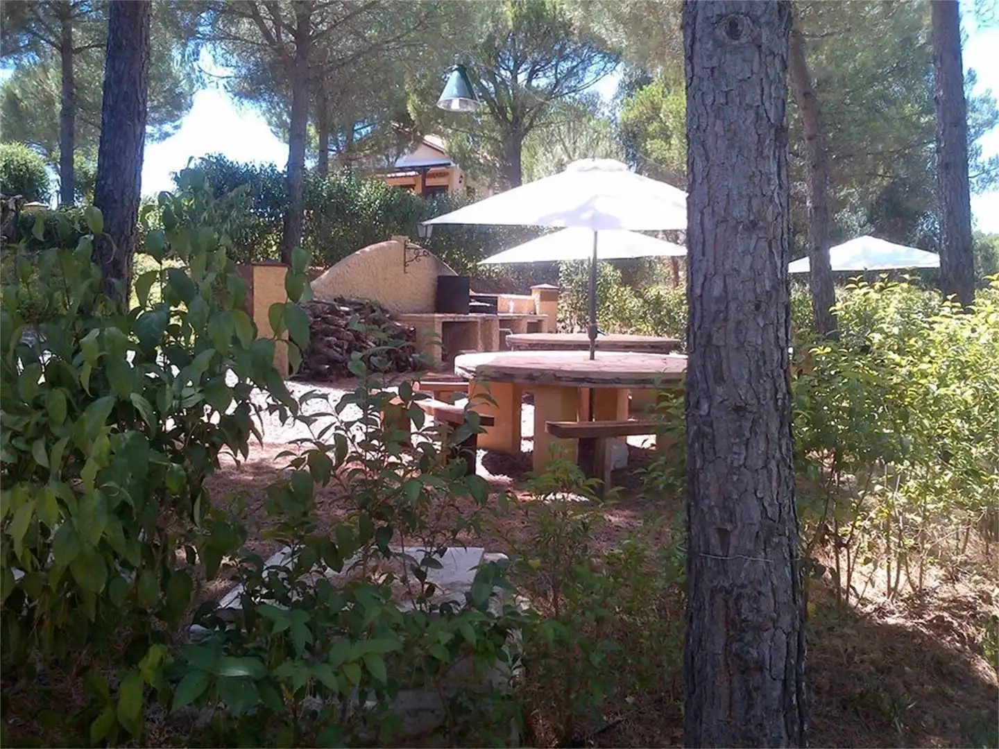 Finca rústica en venta en A-478, Calañas Finca rústica en venta en Calañas con Calefacción, Jardín privado y Terraza