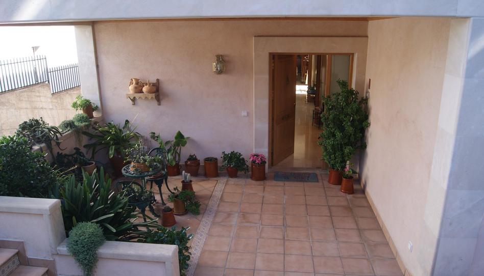 Casa o xalet en venda a Son Dureta, Illes Balears - imatge 1 Foto 1 de Casa o xalet en venda a Son Dureta, Illes Balears