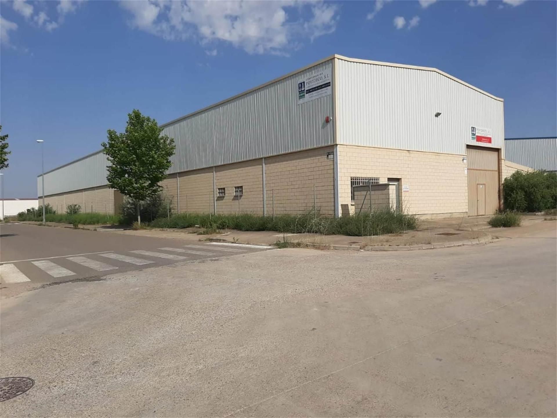 Exterior view of Land for sale in Cintruénigo