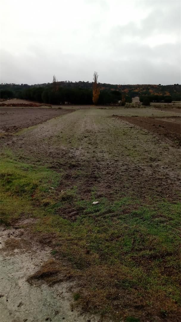 Land for sale in Santibáñez de Valcorba