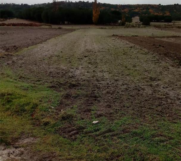 Terreno en venta en Santibáñez de Valcorba, Valladolid - imagen 1 Foto 1 de Terreno en venta en Santibáñez de Valcorba, Valladolid