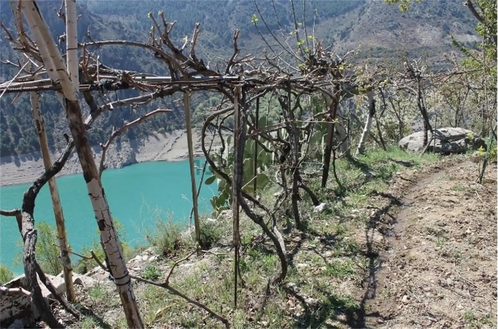Nicht bebaubares Gelände zum Verkauf in Güejar Sierra Nicht bebaubares Gelände zum Verkauf in Güejar Sierra