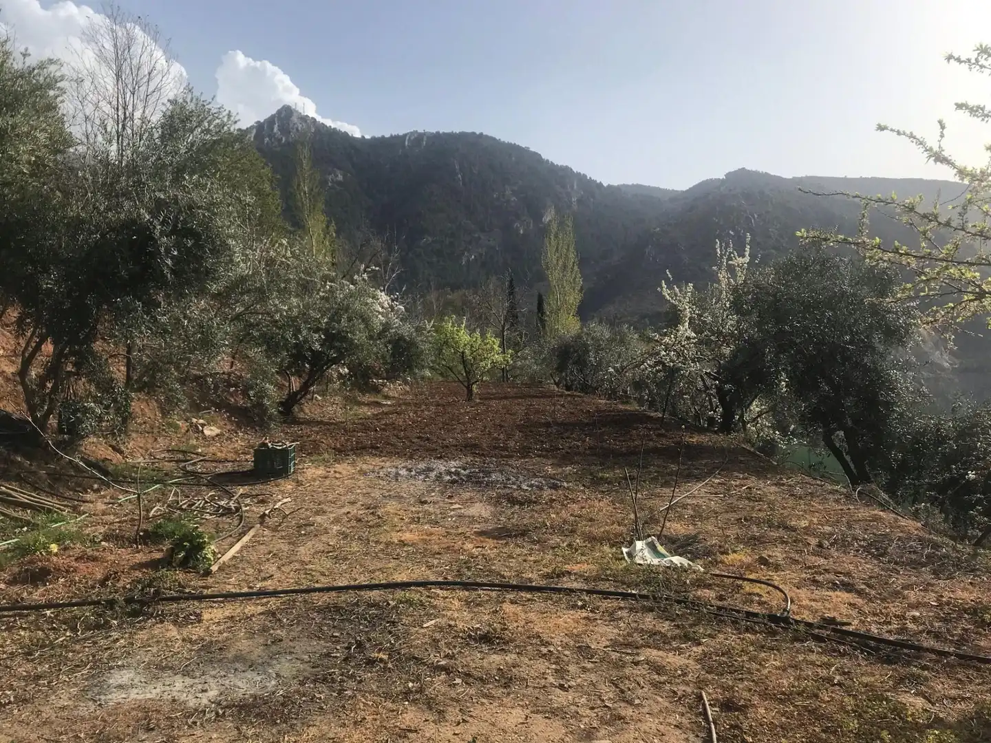 Nicht bebaubares Gelände zum Verkauf in Güejar Sierra Nicht bebaubares Gelände zum Verkauf in Güejar Sierra