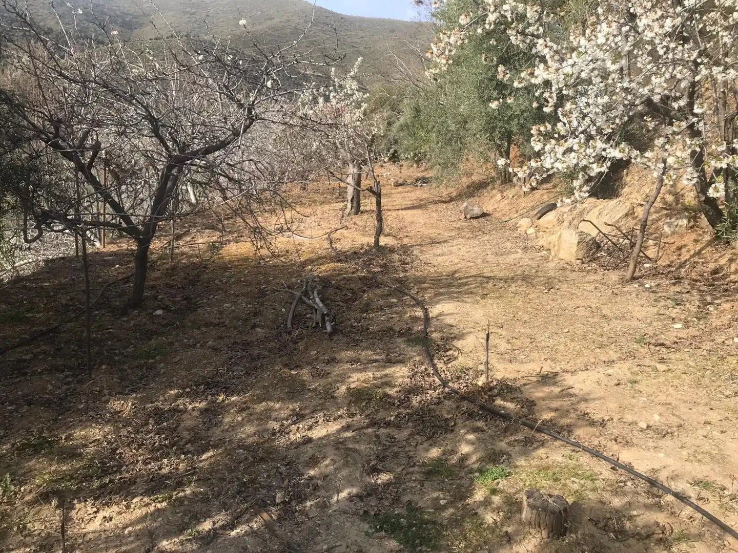 Nicht bebaubares Gelände zum Verkauf in Güejar Sierra Nicht bebaubares Gelände zum Verkauf in Güejar Sierra