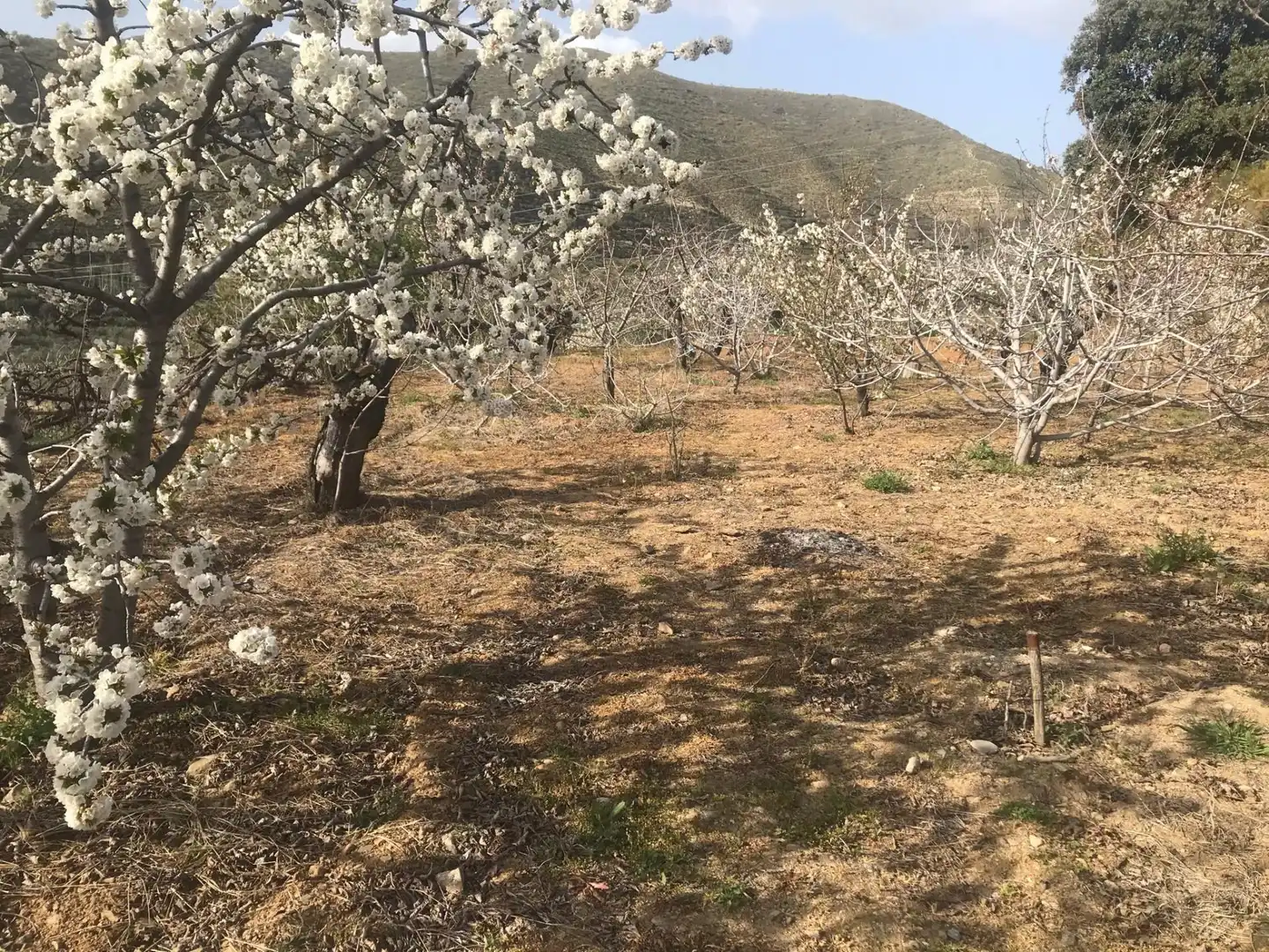 Nicht bebaubares Gelände zum Verkauf in Güejar Sierra Nicht bebaubares Gelände zum Verkauf in Güejar Sierra
