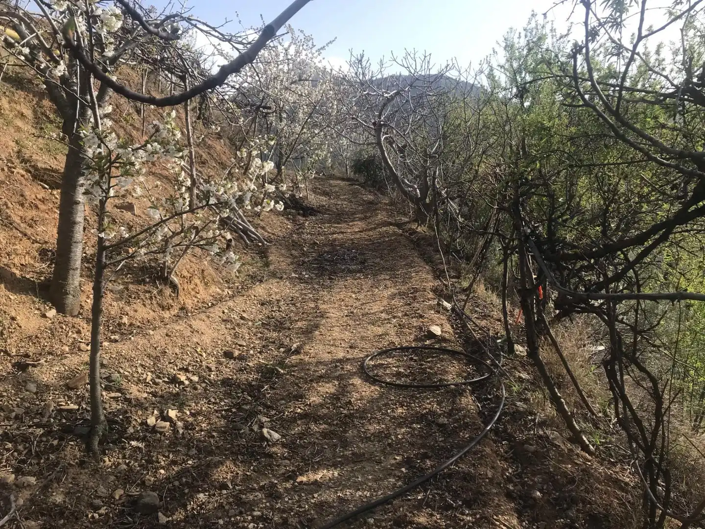 Nicht bebaubares Gelände zum Verkauf in Güejar Sierra Nicht bebaubares Gelände zum Verkauf in Güejar Sierra