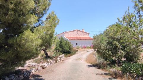 Finca rústica de lloguer a Nogalte, Murcia - imatge 5 Foto 5 de Finca rústica de lloguer a Nogalte, Murcia