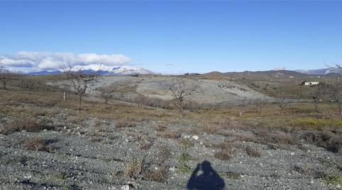 Finca rústica de lloguer a Nogalte, Murcia - imatge 3 Foto 3 de Finca rústica de lloguer a Nogalte, Murcia