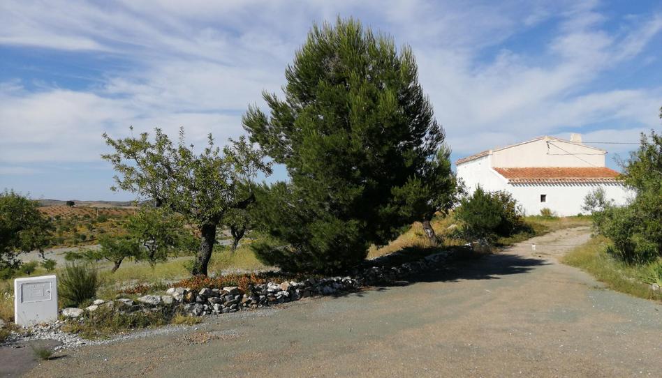 Finca rústica de lloguer a Nogalte, Murcia - imatge 1 Foto 1 de Finca rústica de lloguer a Nogalte, Murcia