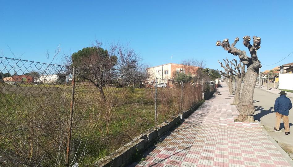 Foto 1 de Terreno en venta en Urbanización Prado Peñitas, 24, Oropesa, Toledo