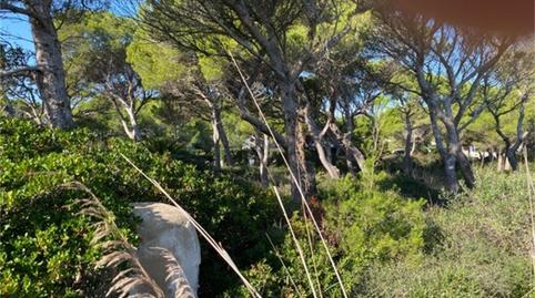 Photo 4 of Land for sale in Carrer Àguila, 155, Cala Morell, Ciutadella de Menorca