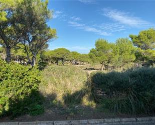 Land for sale in Ciutadella de Menorca