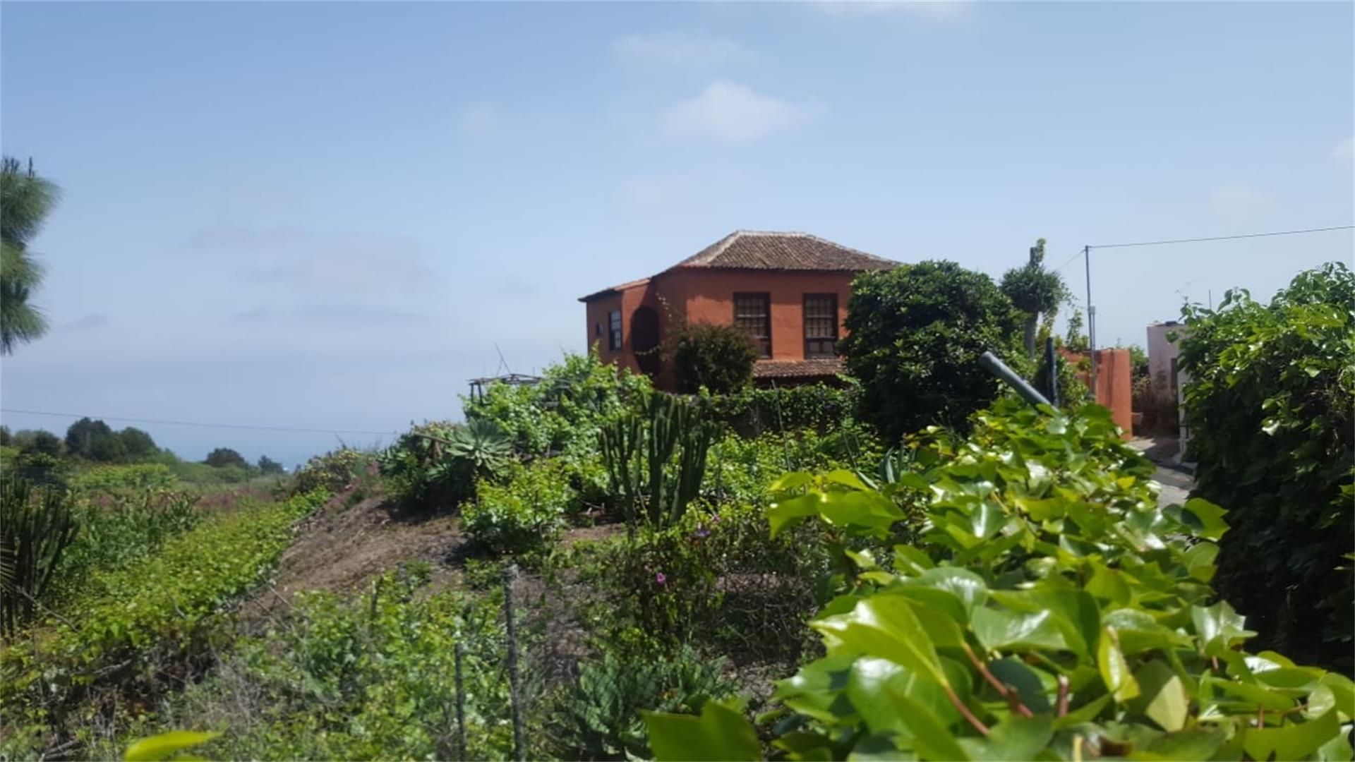 Exterior view of Country house for sale in Icod de los Vinos  with Terrace
