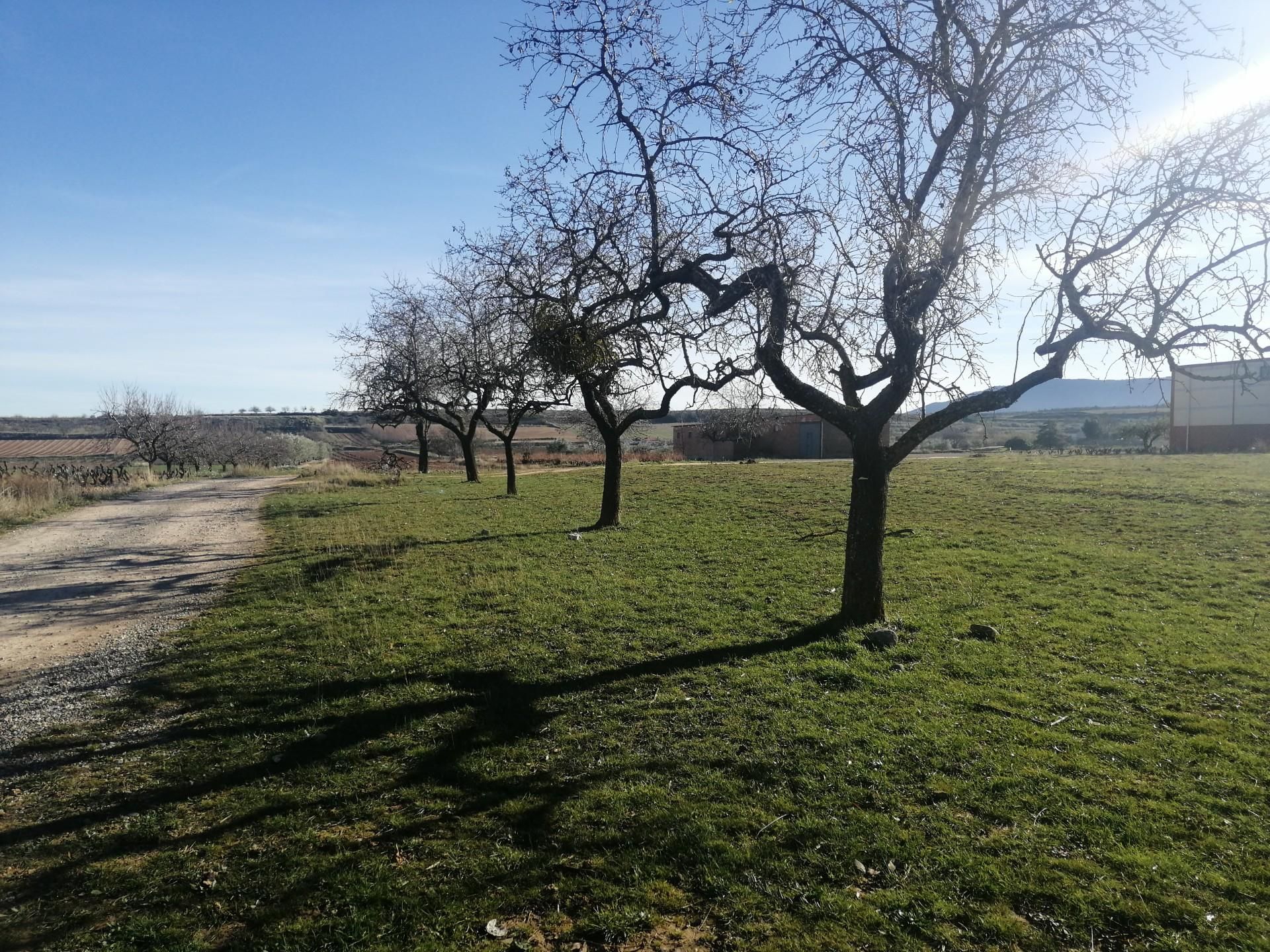 Non-constructible Land for sale in Alberite