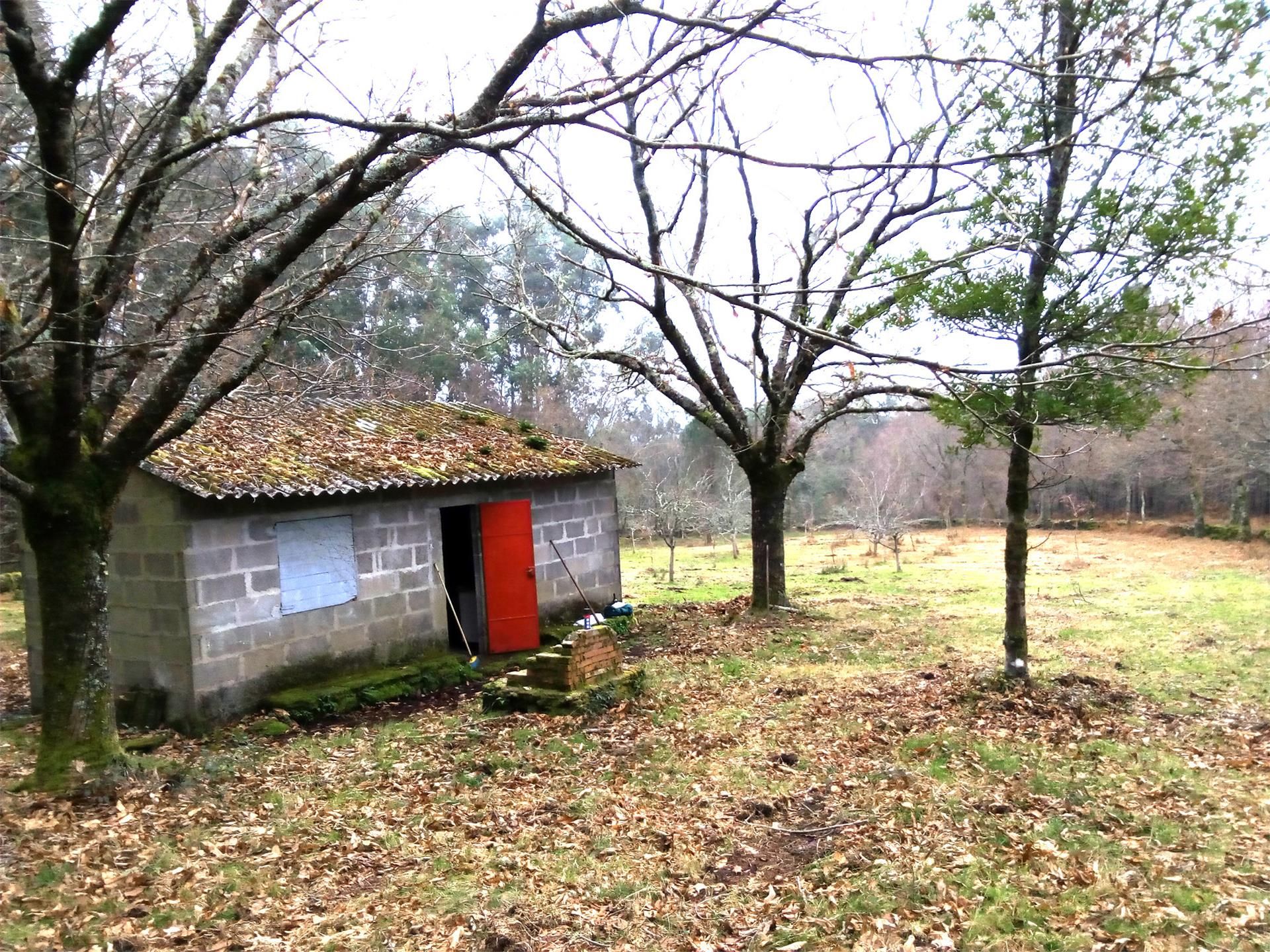 Non-constructible Land for sale in Covelo
