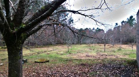 Photo 4 of Non-constructible Land for sale in Covelo, Pontevedra