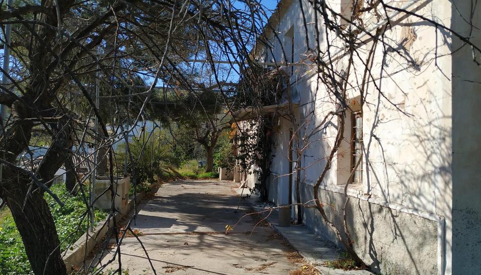 Planta baja for sale in Cantoria, Almería - image 1 Photo 1 of Planta baja for sale in Cantoria, Almería