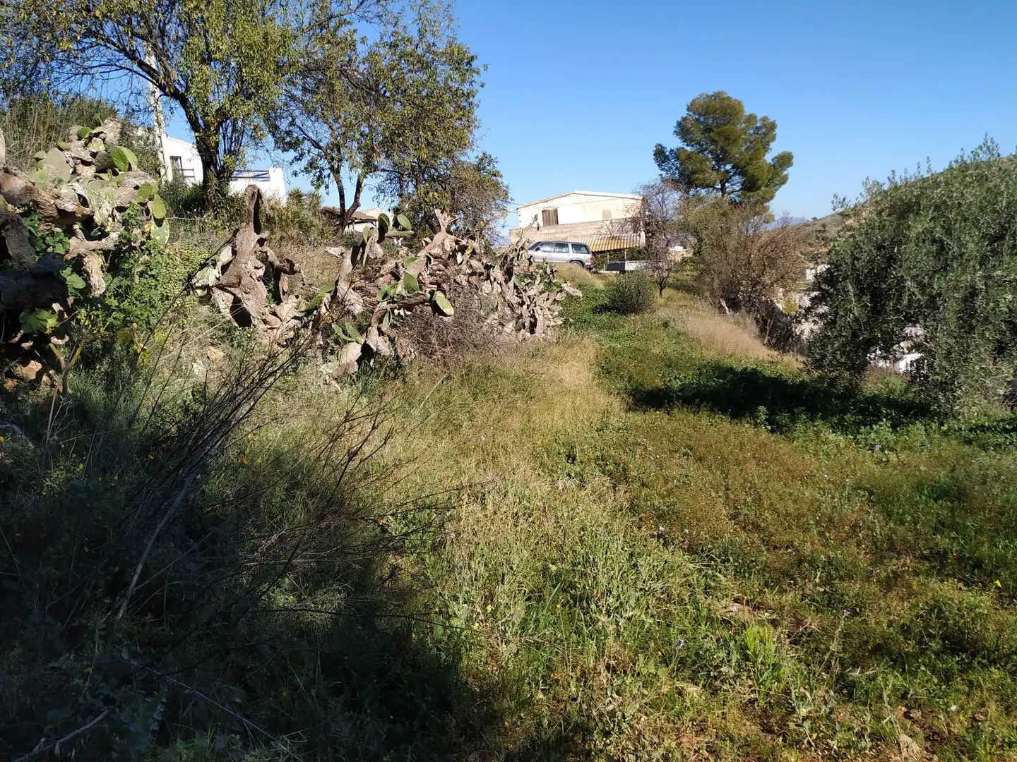 Ground floor for sale in Cantoria Ground floor for sale in Cantoria with Private garden, Storage room and Balcony