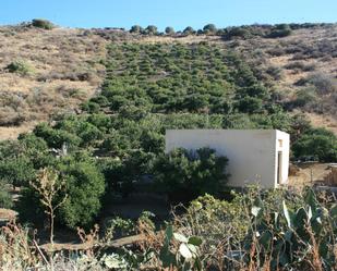 Box room for sale in Caserones - La Higuera