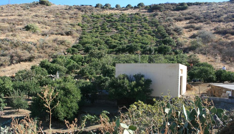 Box room for sale in Caserones - La Higuera, Las Palmas - image 1 Photo 1 of Box room for sale in Caserones - La Higuera, Las Palmas
