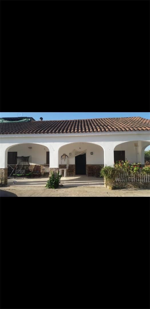 Vista exterior de Casa o xalet en venda en Marchena amb Terrassa i Piscina