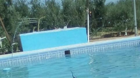 Photo 3 of House or chalet for sale in Marchena, Sevilla