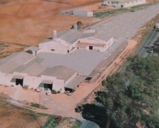 Exterior view of Industrial buildings for sale in Carmona