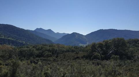 Foto 2 de Terreno en venta en Cortes de la Frontera, Málaga